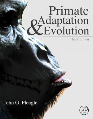 Book cover of Primate Adaptation and Evolution