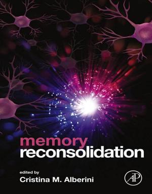 Cover of the book Memory Reconsolidation by Jing Ba, Haibo Zhao, Tobias Muller, Qizhen Du, José M. Carcione