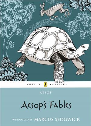 Cover of the book Aesop's Fables by Margaret Wild