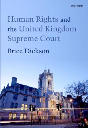 Cover of the book Human Rights and the United Kingdom Supreme Court by Barbara Sahakian, Jamie Nicole LaBuzetta