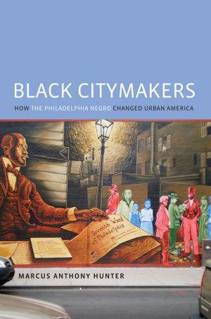 Cover of the book Black Citymakers by 