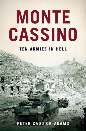 Cover of the book Monte Cassino by Eugene R. Fidell