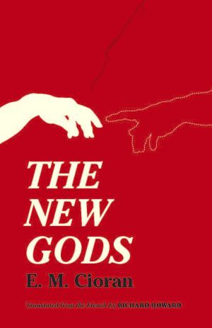 Cover of the book The New Gods by Domenico Bertoloni Meli