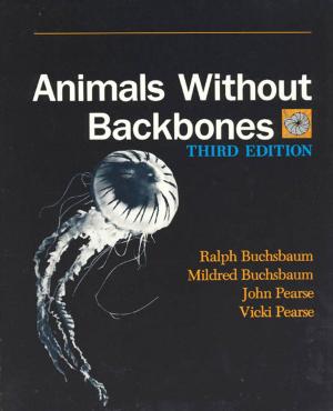 Book cover of Animals Without Backbones