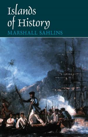 Cover of the book Islands of History by John Levi Martin