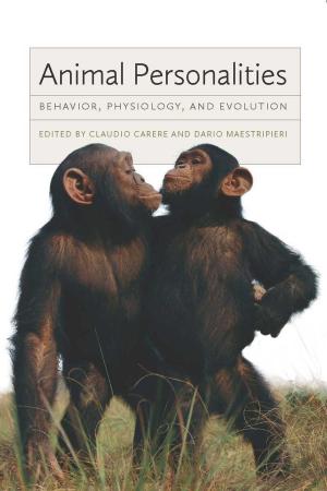 Cover of the book Animal Personalities by José Tiberius