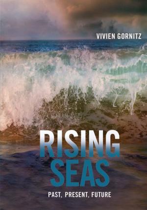 bigCover of the book Rising Seas by 