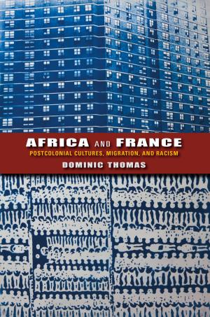 Cover of the book Africa and France by Barthold Kuijken
