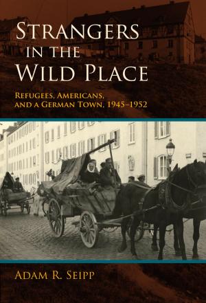 Cover of the book Strangers in the Wild Place by Martin Heidegger