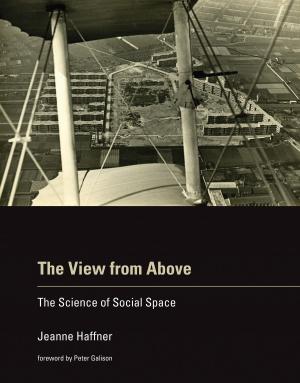 Cover of the book The View from Above by Barry Schein