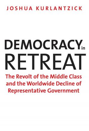 Cover of the book Democracy in Retreat by Lee Jackson