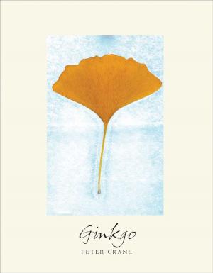 bigCover of the book Ginkgo by 