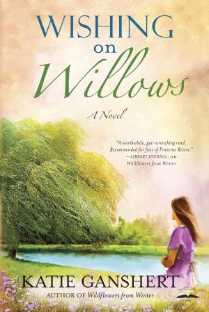 Book cover of Wishing on Willows