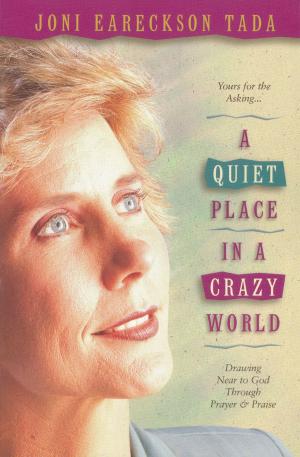 Cover of the book A Quiet Place in a Crazy World by Katie Ganshert