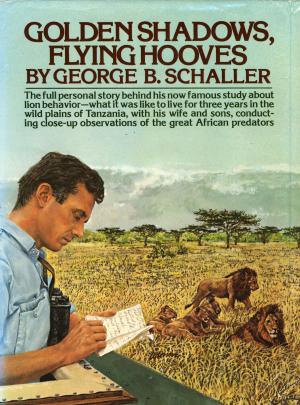 Cover of the book Golden Shadows by Norma Field