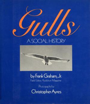 bigCover of the book Gulls by 