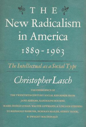 Cover of the book New Radicalism in America by Aaron James