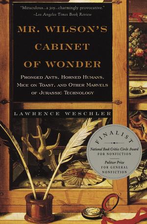 Cover of the book Mr. Wilson's Cabinet Of Wonder by Lorrie Moore