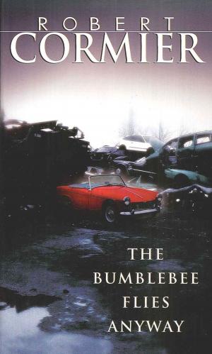 Cover of the book The Bumblebee Flies Anyway by Laura Resau