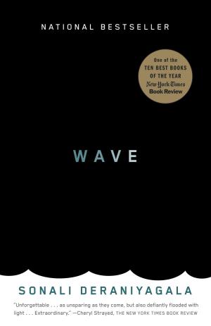 Cover of the book Wave by Matt Burgess