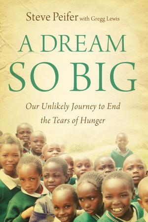 Cover of the book A Dream So Big by Jeannette Taylor, Doris Wynbeek Rikkers, Zondervan