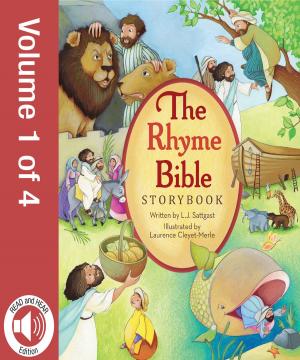 Cover of the book The Rhyme Bible Storybook, Vol. 1 by Rick Bundschuh, Bethany Hamilton