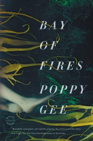 Cover of the book Bay of Fires by Rupert Isaacson