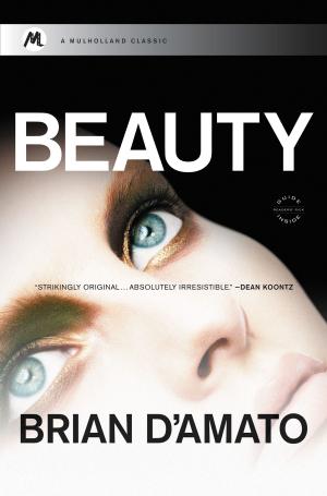 Cover of the book Beauty by Benjamin Rachlin