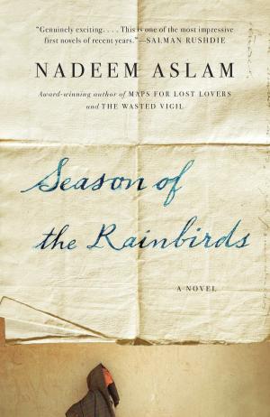 Cover of the book Season of the Rainbirds by Carl L. Becker