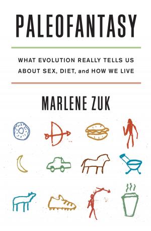Book cover of Paleofantasy: What Evolution Really Tells Us about Sex, Diet, and How We Live