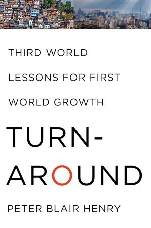 Cover of the book Turnaround by Susan R. Barry