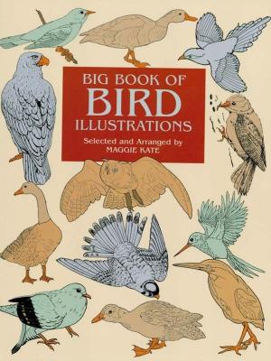 Cover of the book Big Book of Bird Illustrations by John W. Robichaux