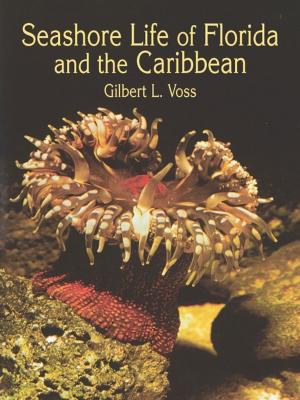 Cover of the book Seashore Life of Florida and the Caribbean by Michael J. Crowe