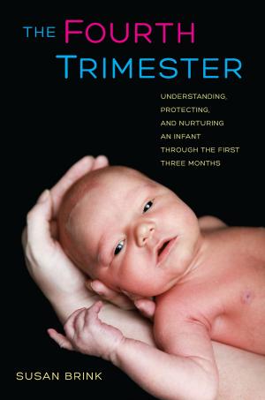 Cover of the book The Fourth Trimester by Amira Mittermaier