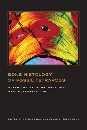 Cover of the book Bone Histology of Fossil Tetrapods by David Kinsley