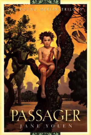 Cover of the book Passager by Louis Auchincloss