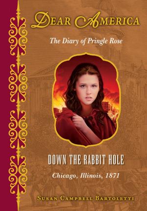 Cover of the book Dear America: Down the Rabbit Hole by Amy Ignatow, Jarrett J. Krosoczka