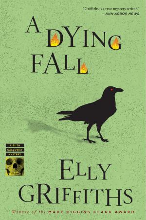 Cover of the book A Dying Fall by Scott Jurek, Steve Friedman