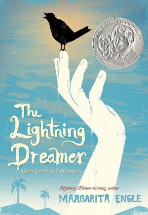 Cover of the book The Lightning Dreamer by Barry Lyga