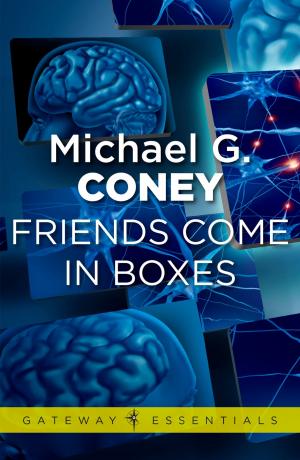 Cover of the book Friends Come in Boxes by Robert Rankin