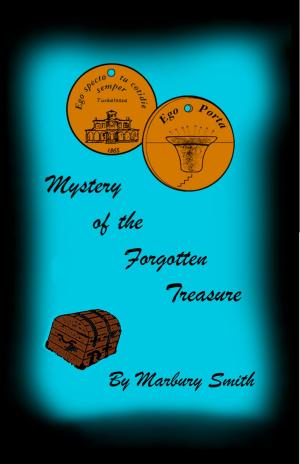Cover of the book Mystery Of The Forgotten Treasure by N.D. Bailey