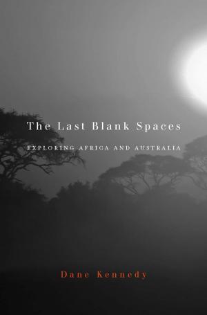 Cover of the book The Last Blank Spaces by Bernard Wasserstein