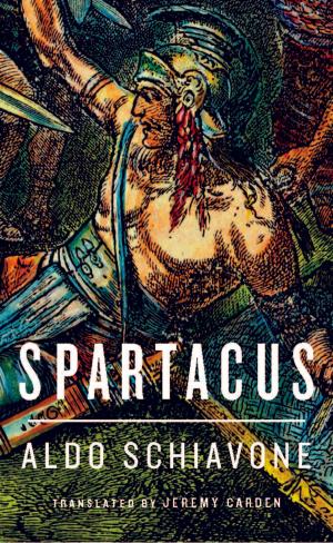 Cover of the book Spartacus by mickael thery