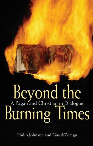 Book cover of Beyond the Burning Times