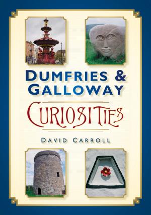 Book cover of Dumfries & Galloway Curiosities