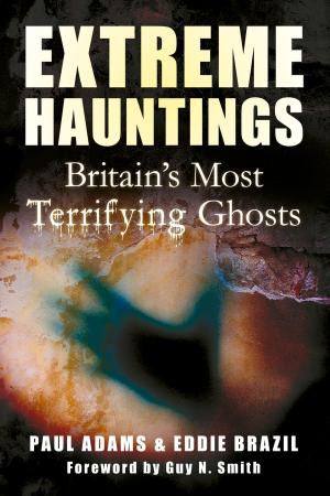 Book cover of Extreme Hauntings
