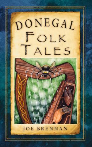 Cover of the book Donegal Folk Tales by John Schofield