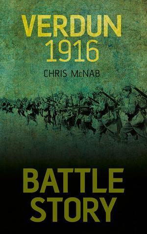 Book cover of Battle Story: Verdun 1916
