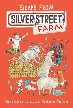 Book cover of Escape from Silver Street Farm