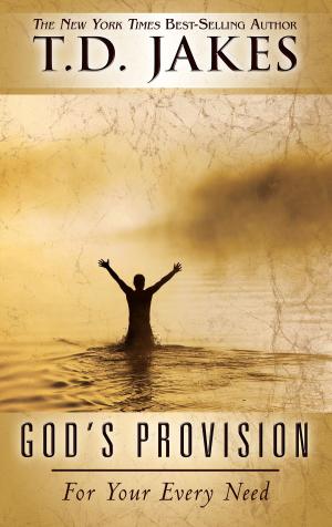 Cover of the book God's Provision For Your Every Need by Craig A. Evans, Jeremiah J. Johnston